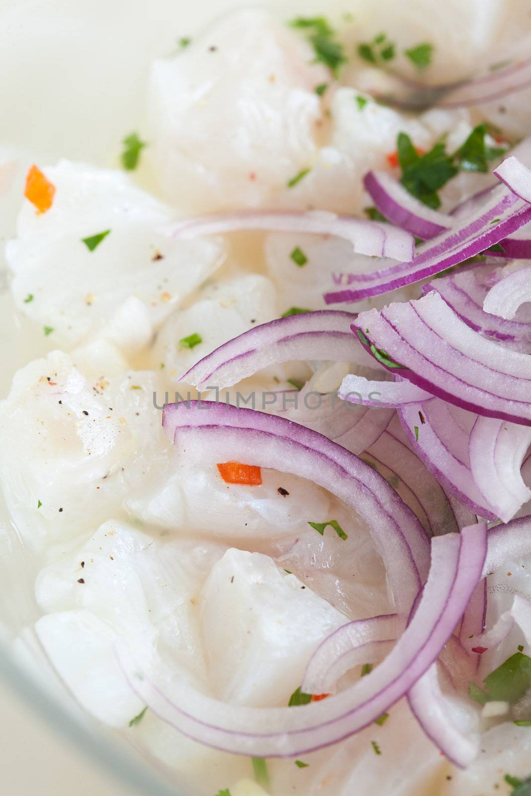 Marinating bowl of ceviche with cod, onions and cilantro
