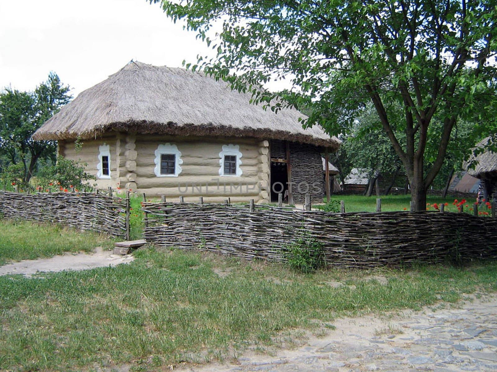 Rural landscape of the Kiev, Ukraina