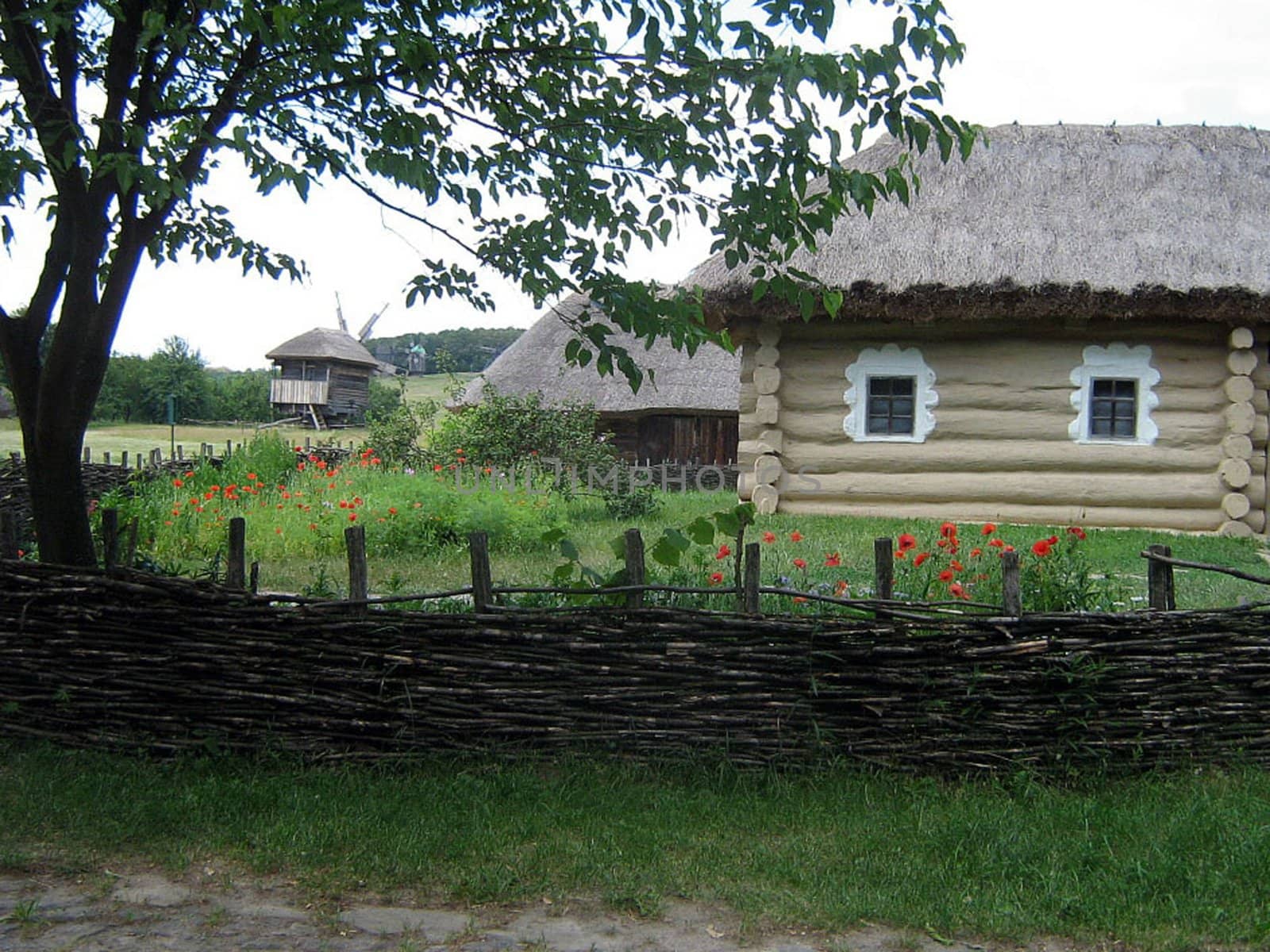 Rural landscape of the Kiev, Ukraina