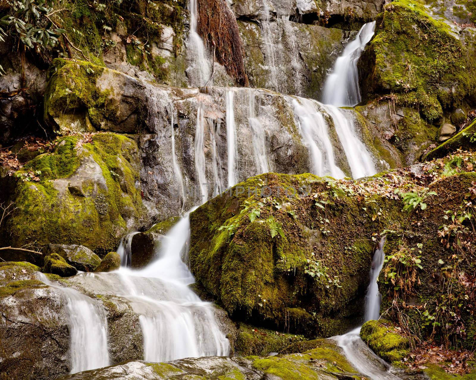 Waterfall in the place of a thousand drips near Gatlinburg in Smoky Mountains