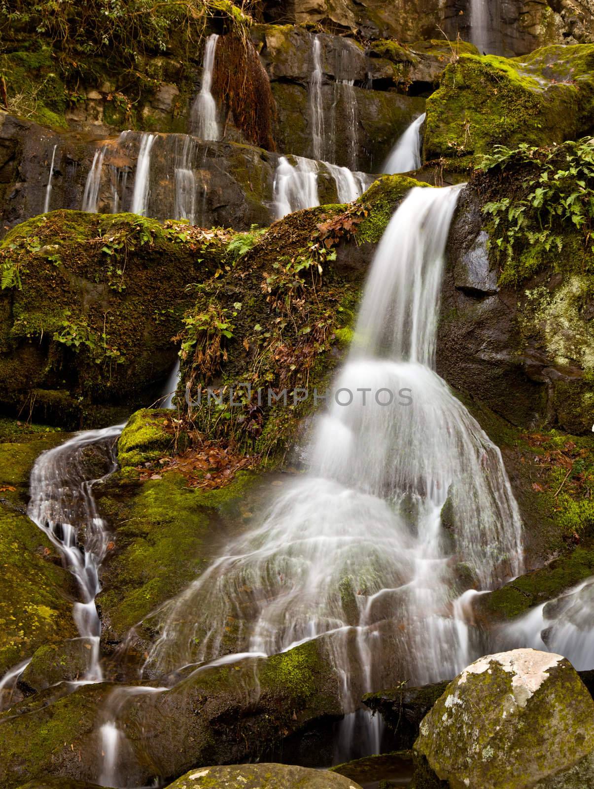 Waterfall in the place of a thousand drips near Gatlinburg in Smoky Mountains