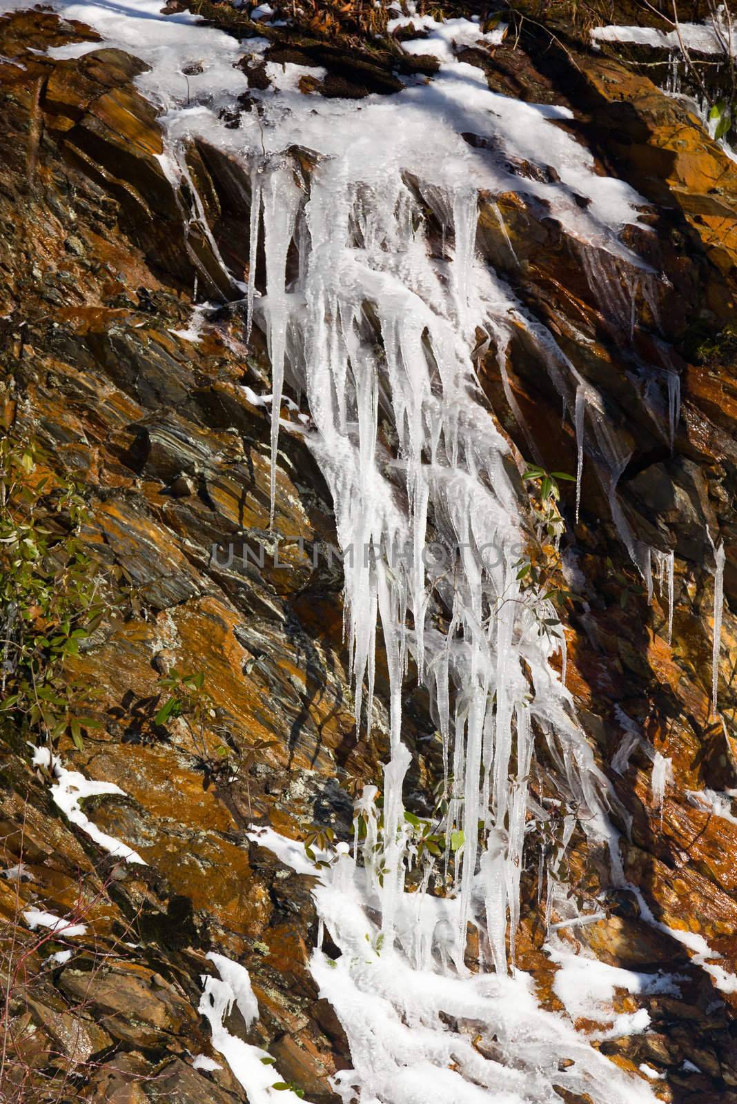 Icicles frozen to rock face on famous weeping wall in Smoky Mountains