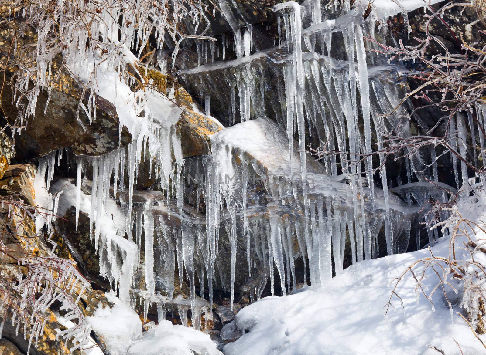 Icicles frozen to rock face on famous weeping wall in Smoky Mountains