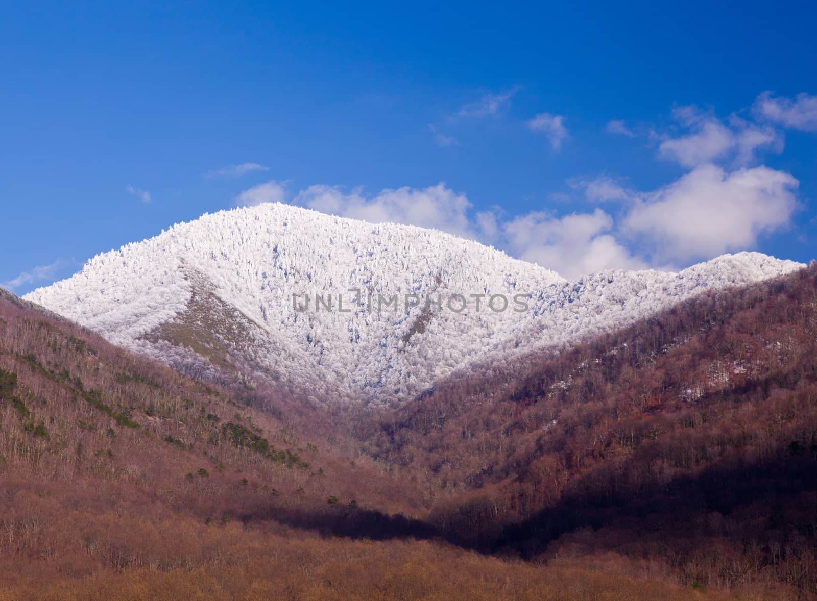 Mount leconte in snow in smokies by steheap