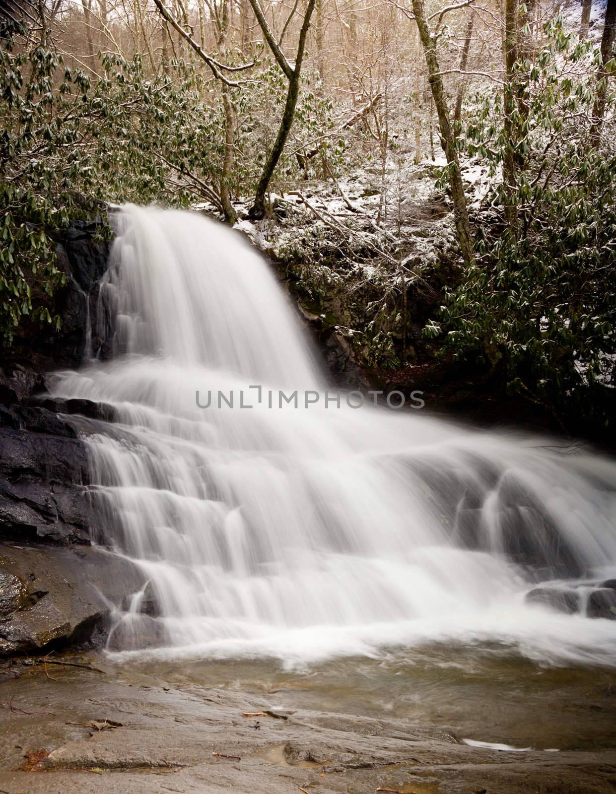 Snow covers the leaves and mountain as Laurel falls cascades over the mountain