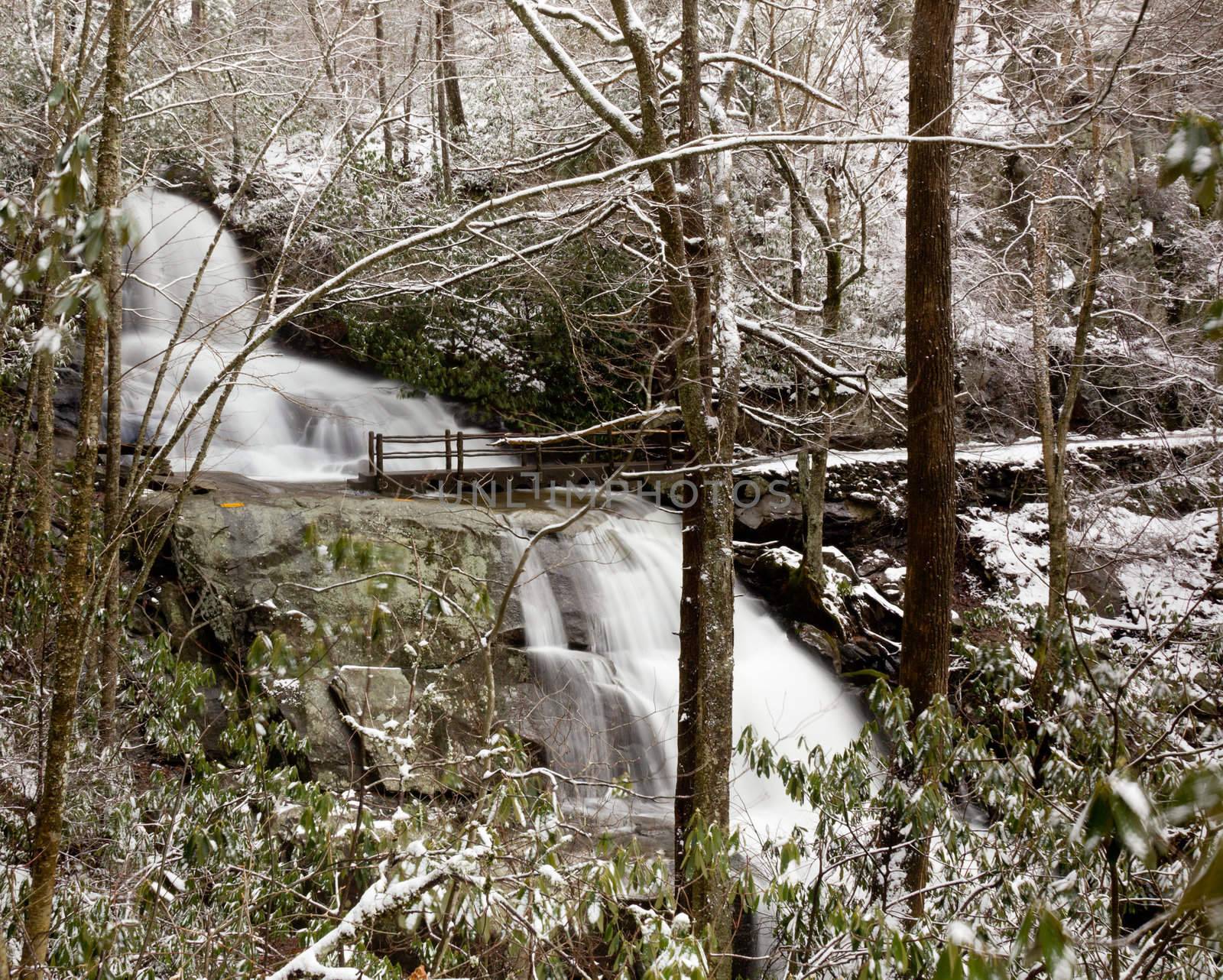 Snow covers the leaves and mountain as Laurel falls cascades over the mountain