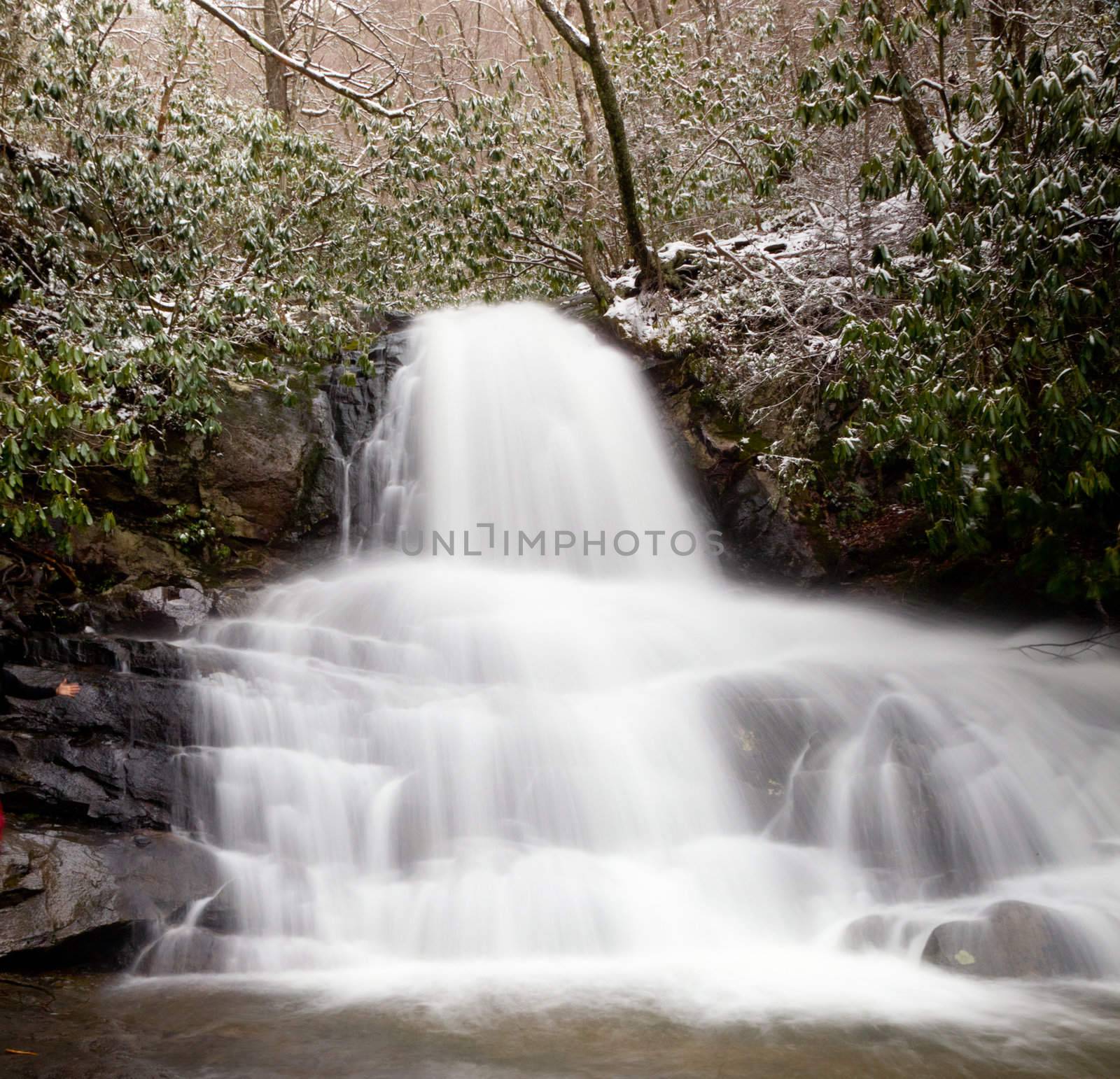 Snow covers the leaves and mountain as Laurel falls cascades over the mountain