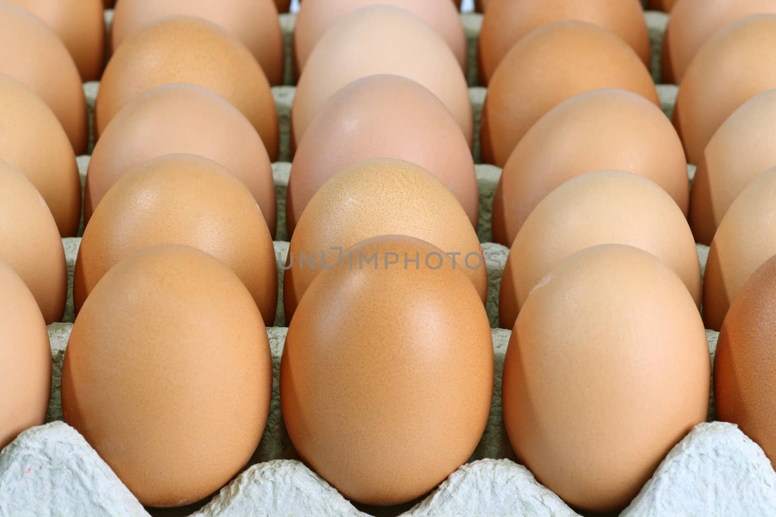 Brown eggs by Colour