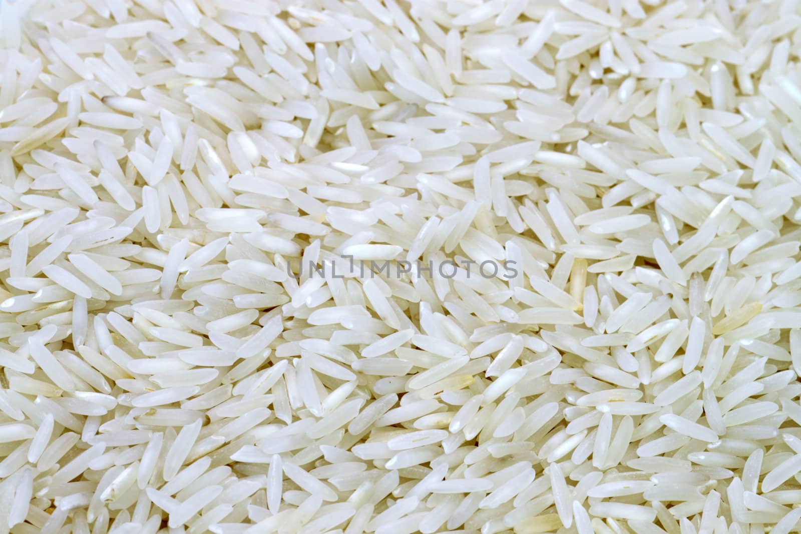 Macro background of white rice. Shot in studio.