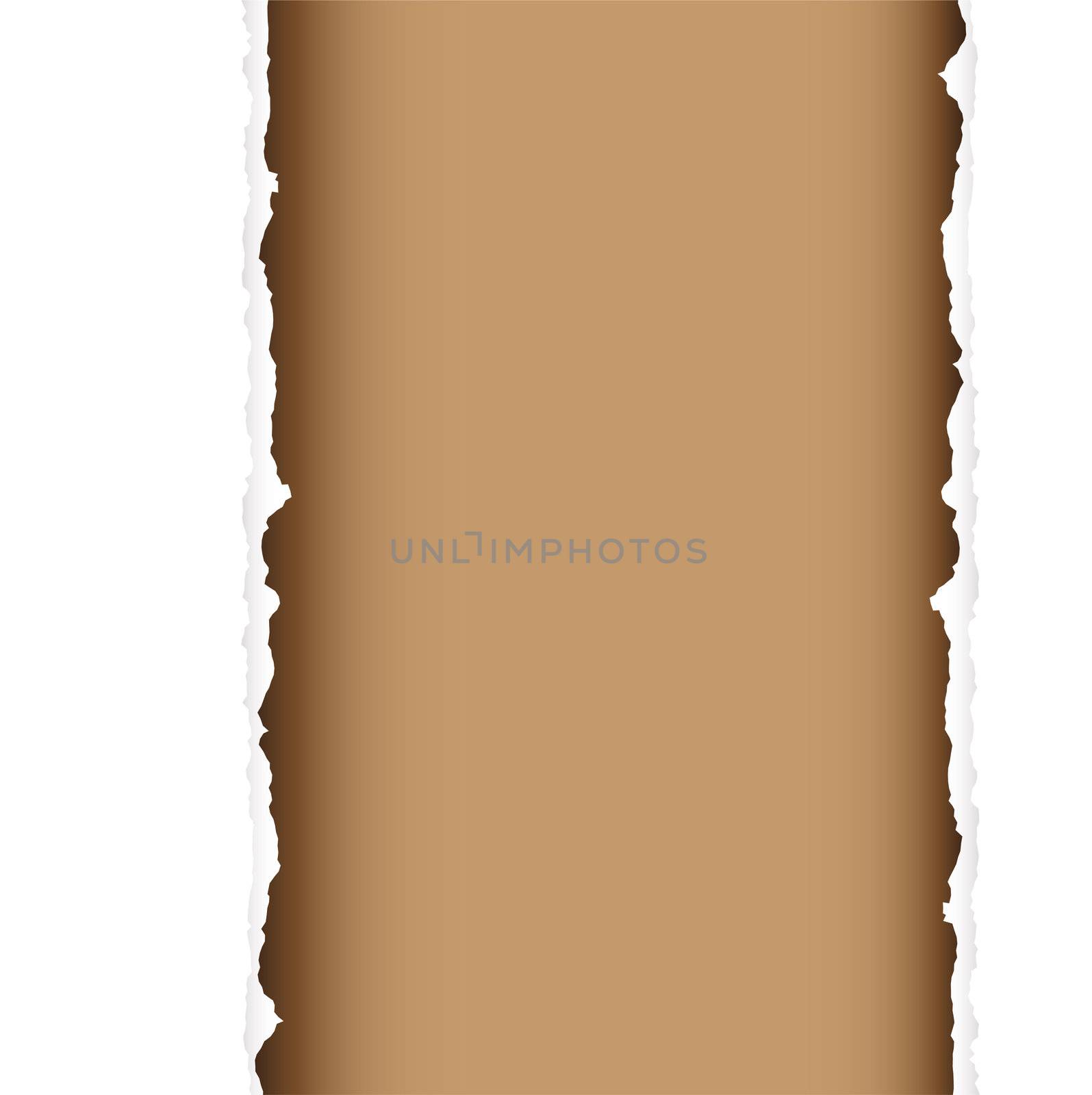 brown background with torn edges and white paper strip