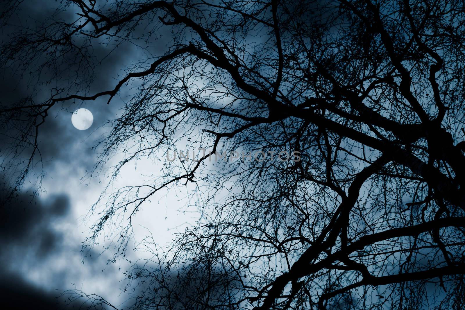 Scary dark scenery with naked trees, full moon and clouds by pashabo