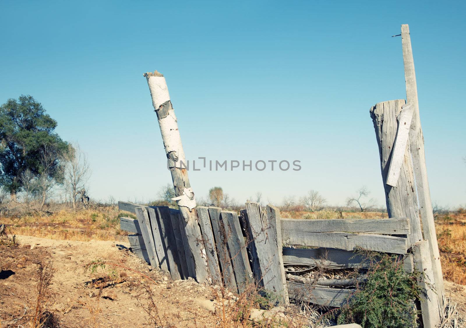 Old rural fence by Novic