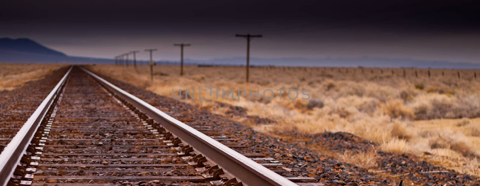 A photograph of a railroad.  The sharp metal rails are pulling your eye through the photograph.