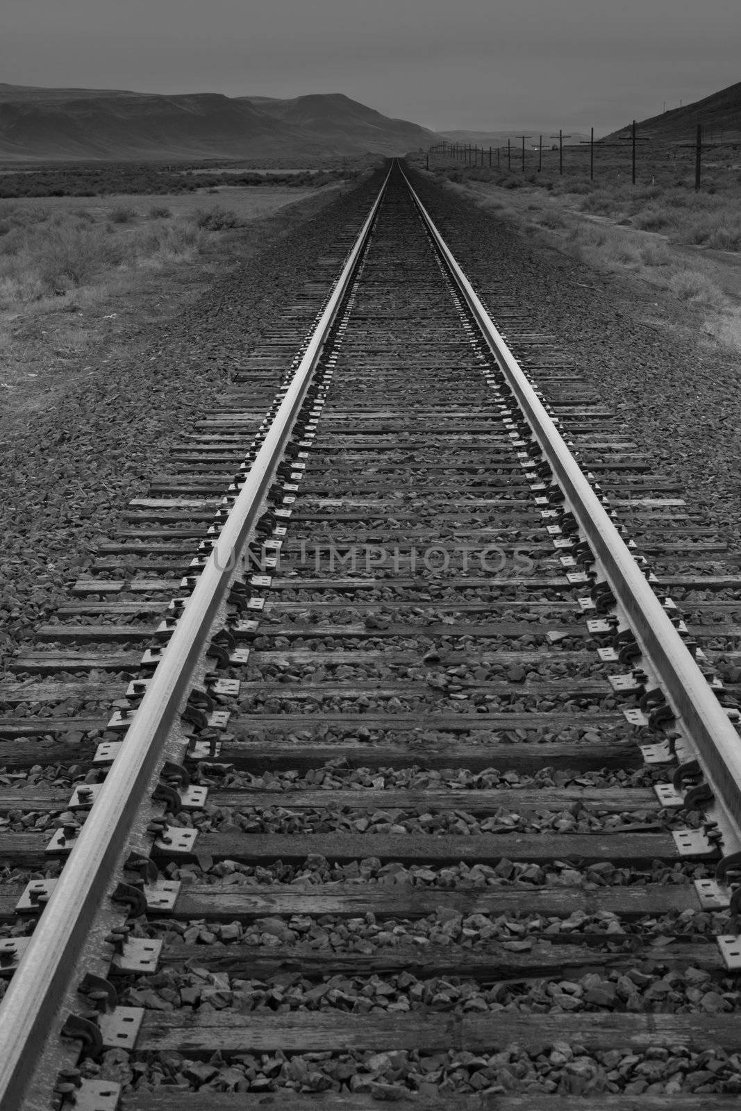 A photograph of a long railroad.  The vanishing point leads the eye through the photograph.