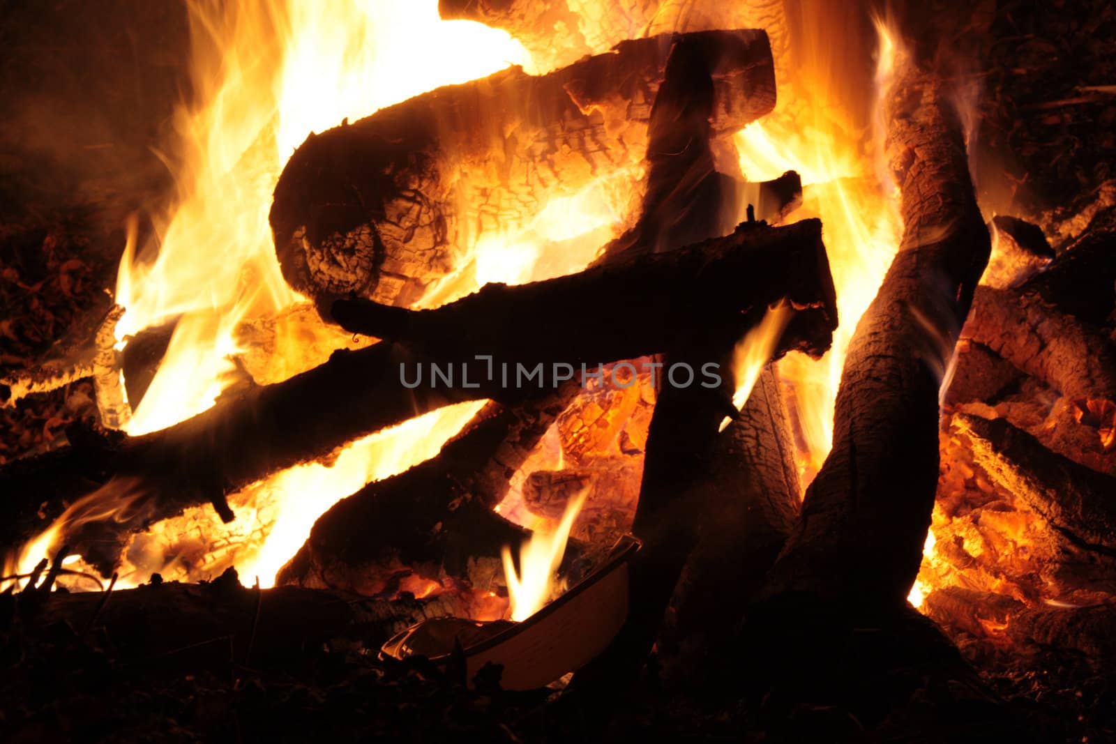 Campfire by nimatypografik
