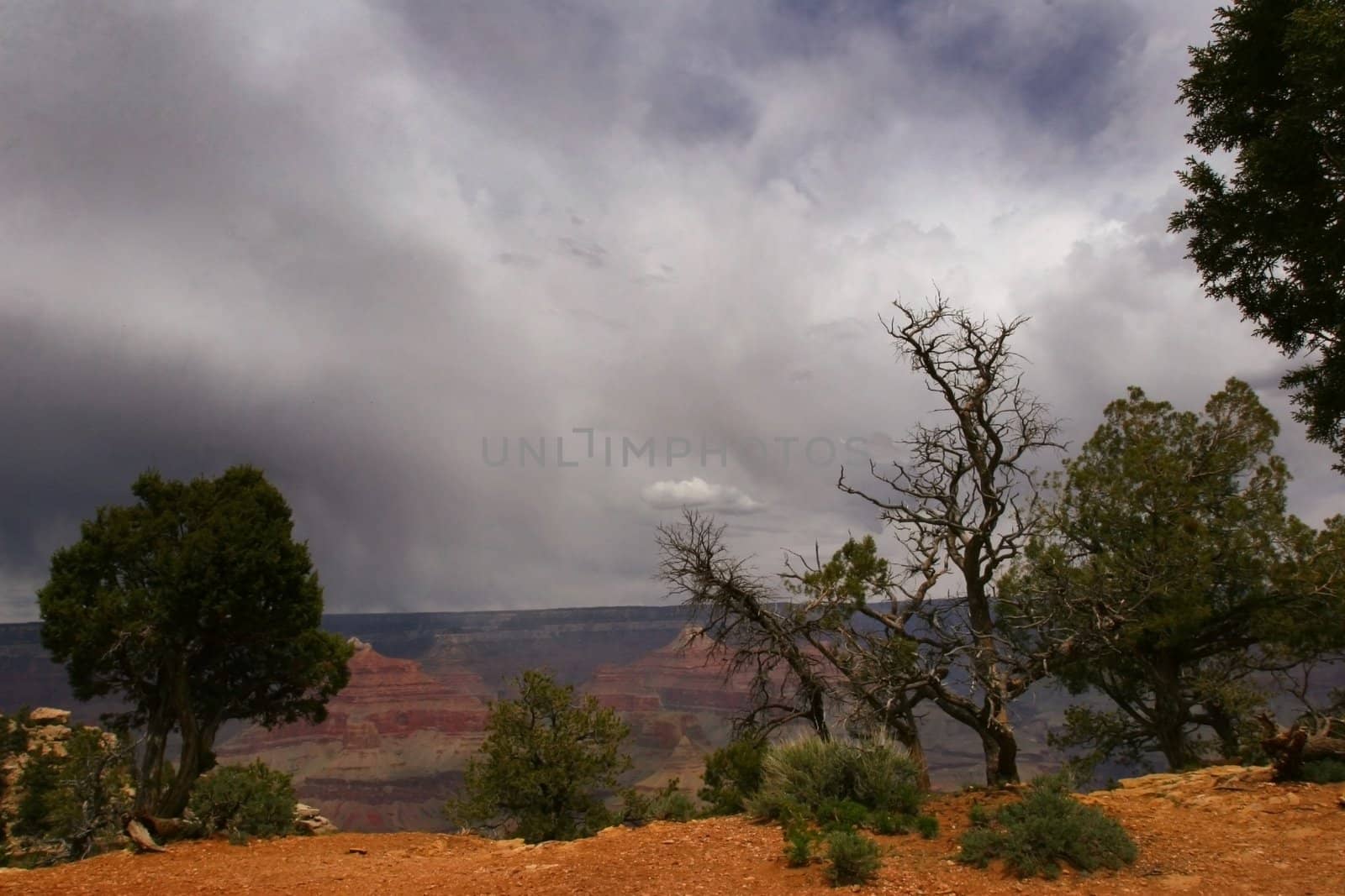 Amazing storm clouds gather on a spring day at the Grand Canyon in Arizona.
