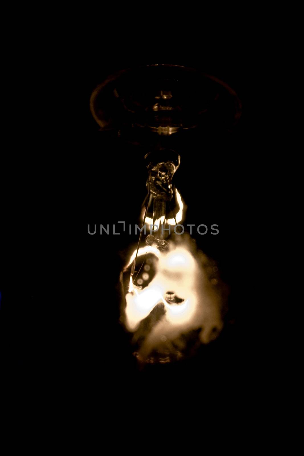 light bulb by nimatypografik