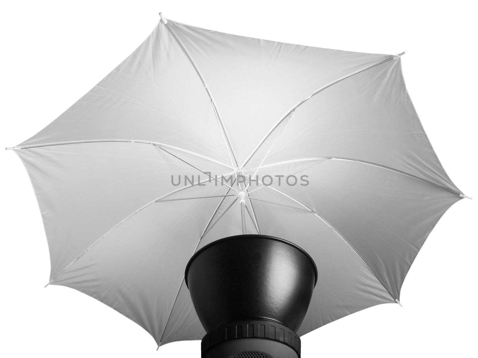 Lighting photo umbrella used with strobo lights in photographic studio