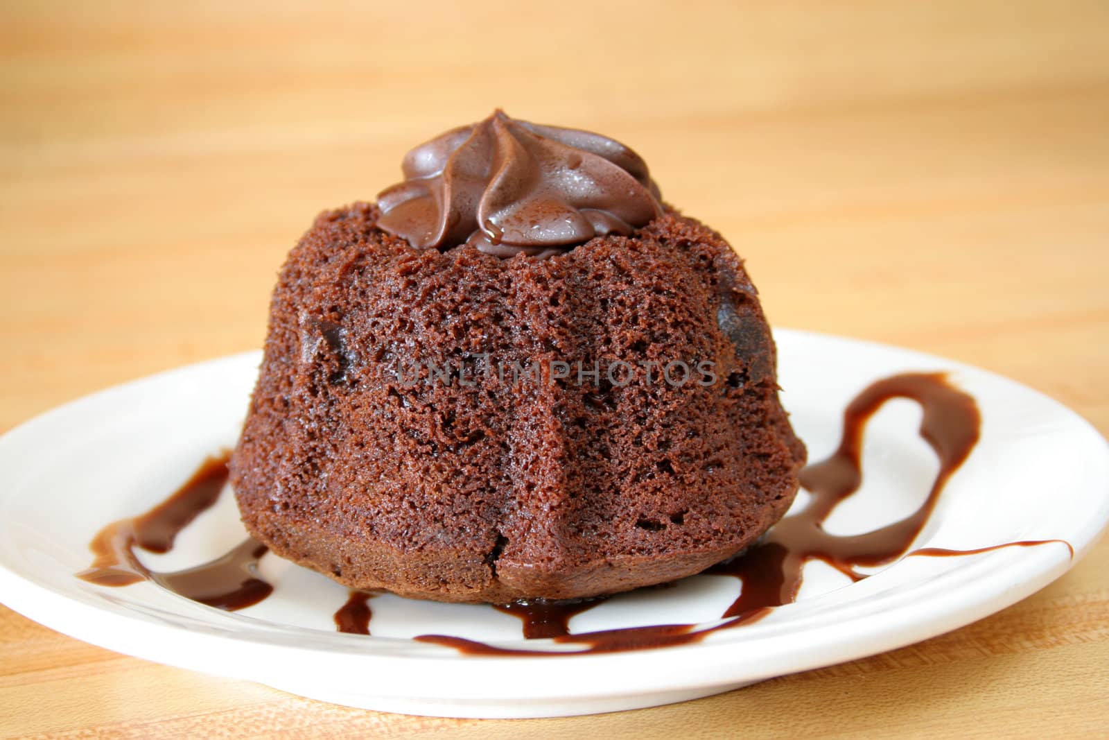 A mini chocolate cake with chocolate icing and savory chocolate sauce.