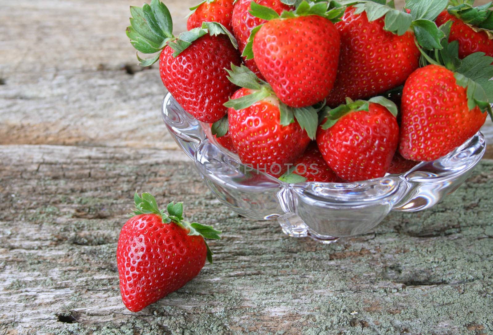 A bowl of fresh picked strawberries in a bowl with one laying on the side.