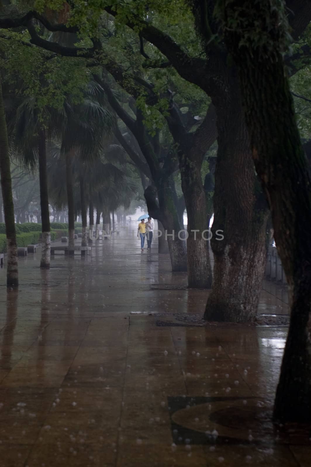 Couple Walking in the rain by studioreddot