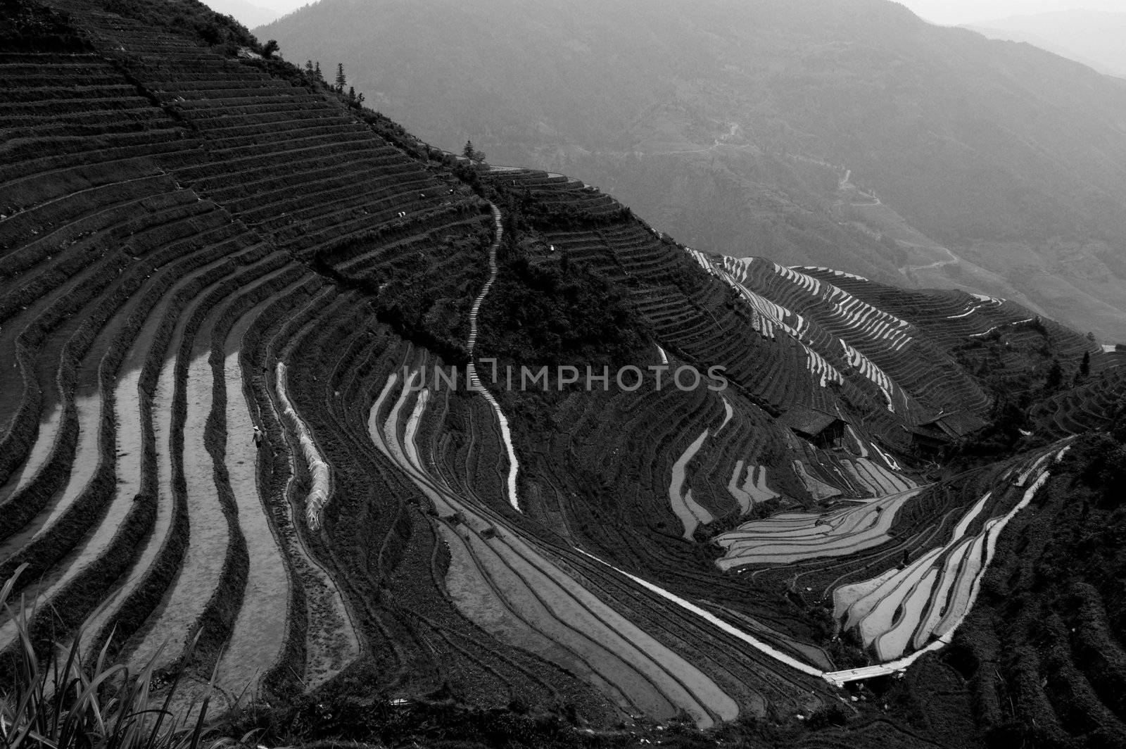 Black and White Longji Rice Terraces in Guangxi China