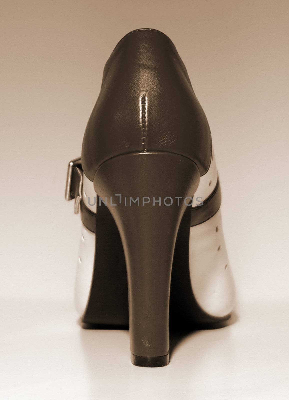 An end view of a ladies high heel