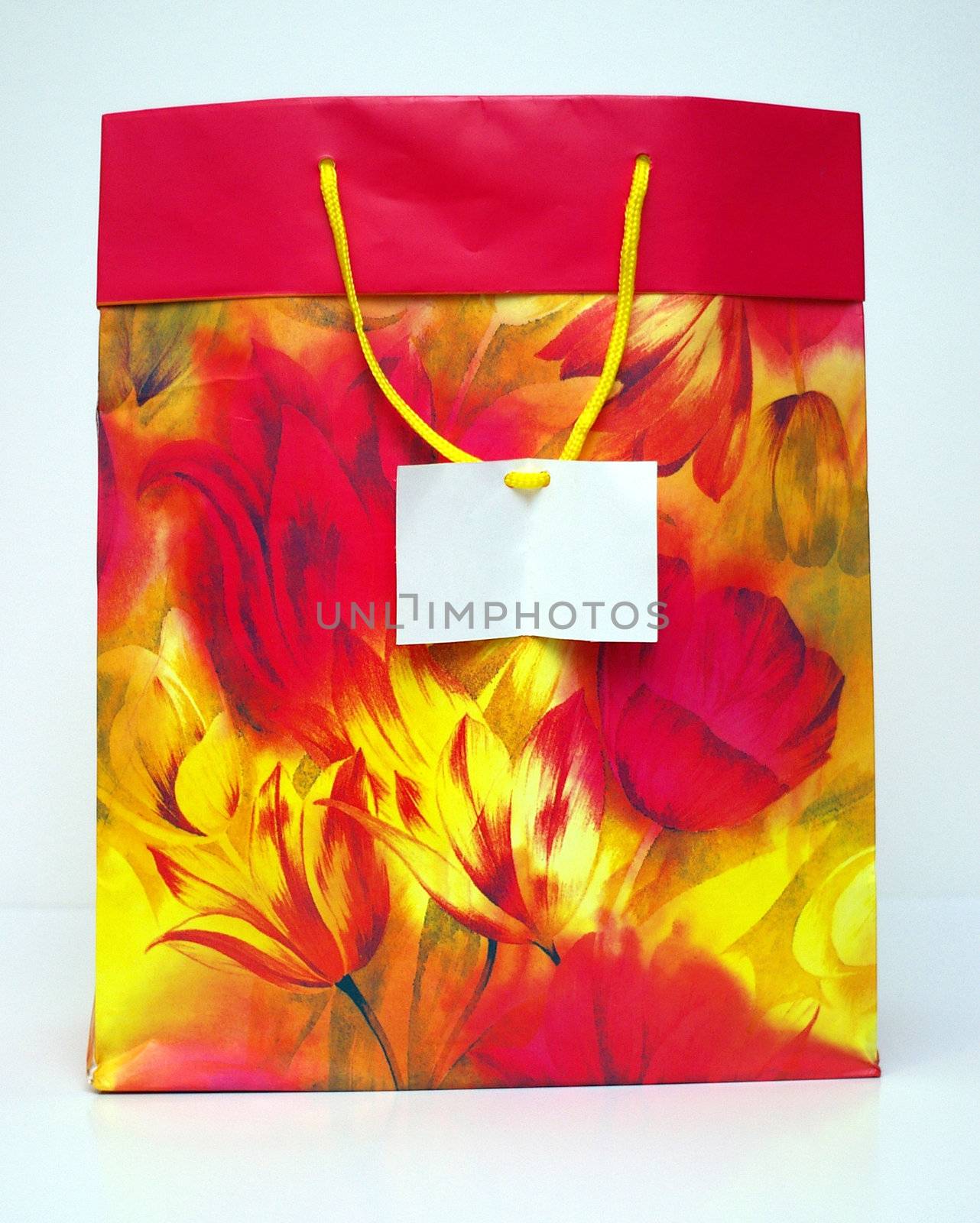 A large gift bag for Christmas or birthday gifts with a blank card on the handle.