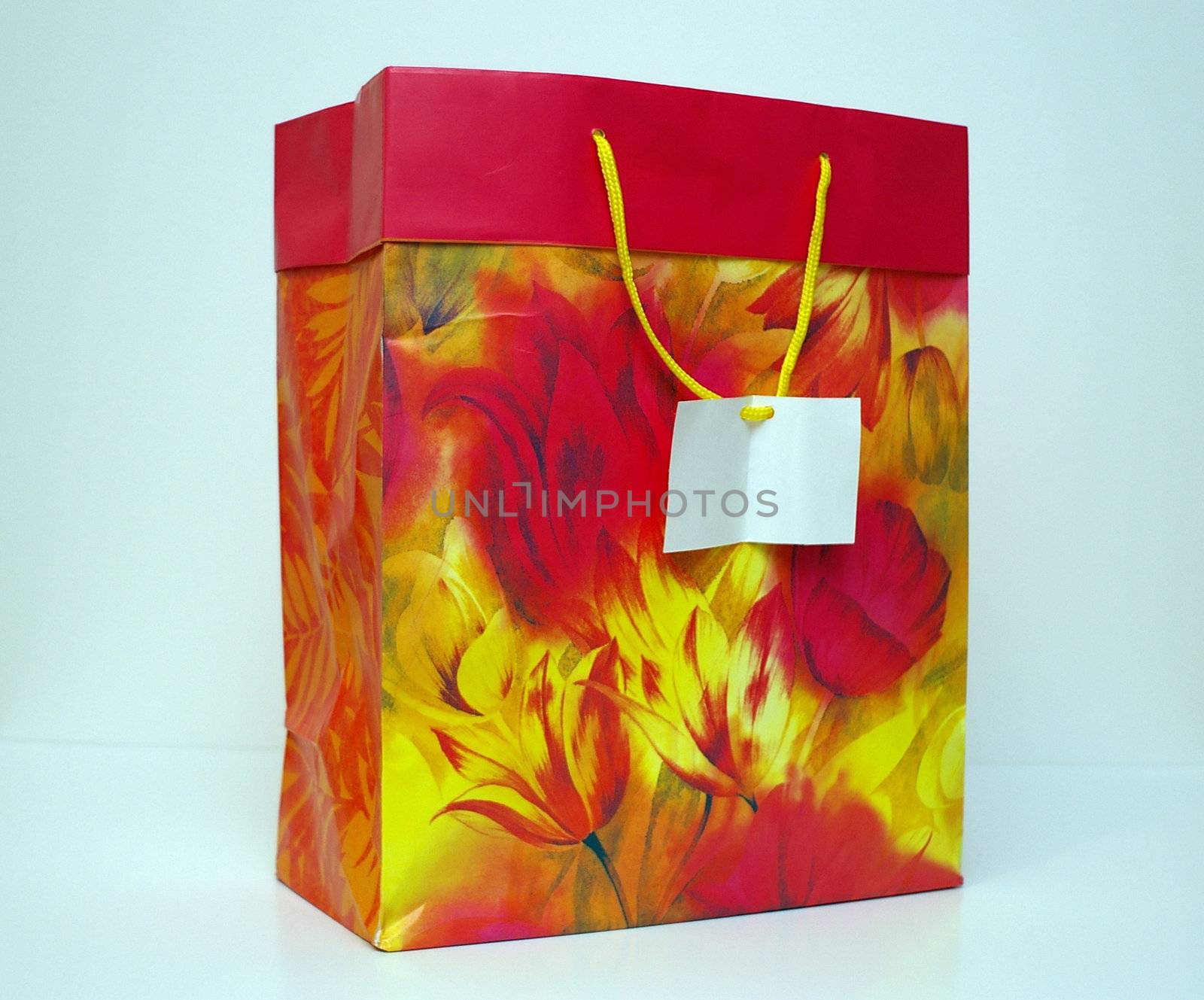 A large gift bag for Christmas or birthday gifts with a blank card on the handle.