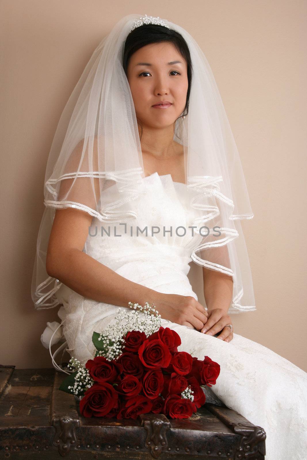 Beautiful Bride by vanell