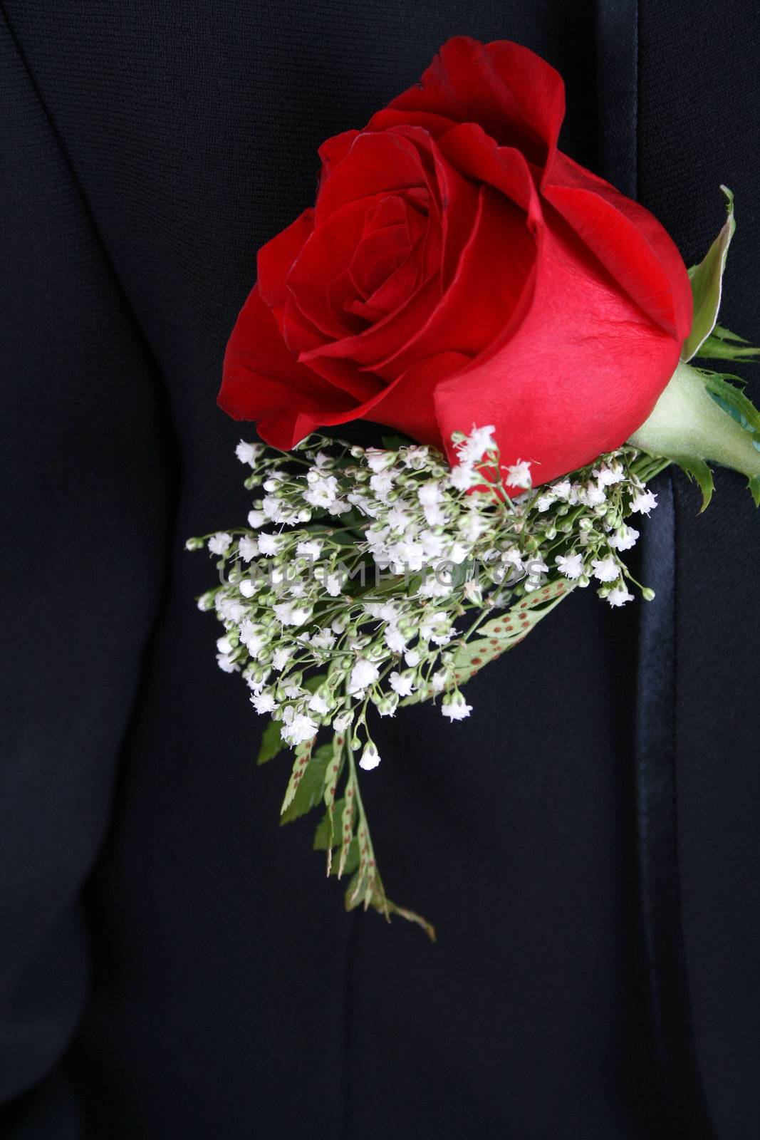 Red rose corsage against a dark suit