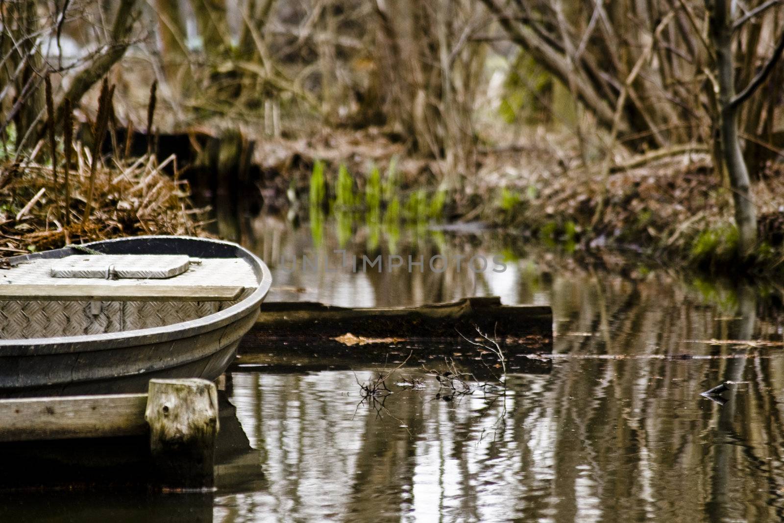 rowboat in a forrest