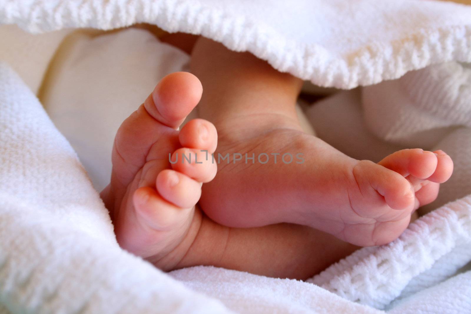 New Born Baby feet in a white blanket