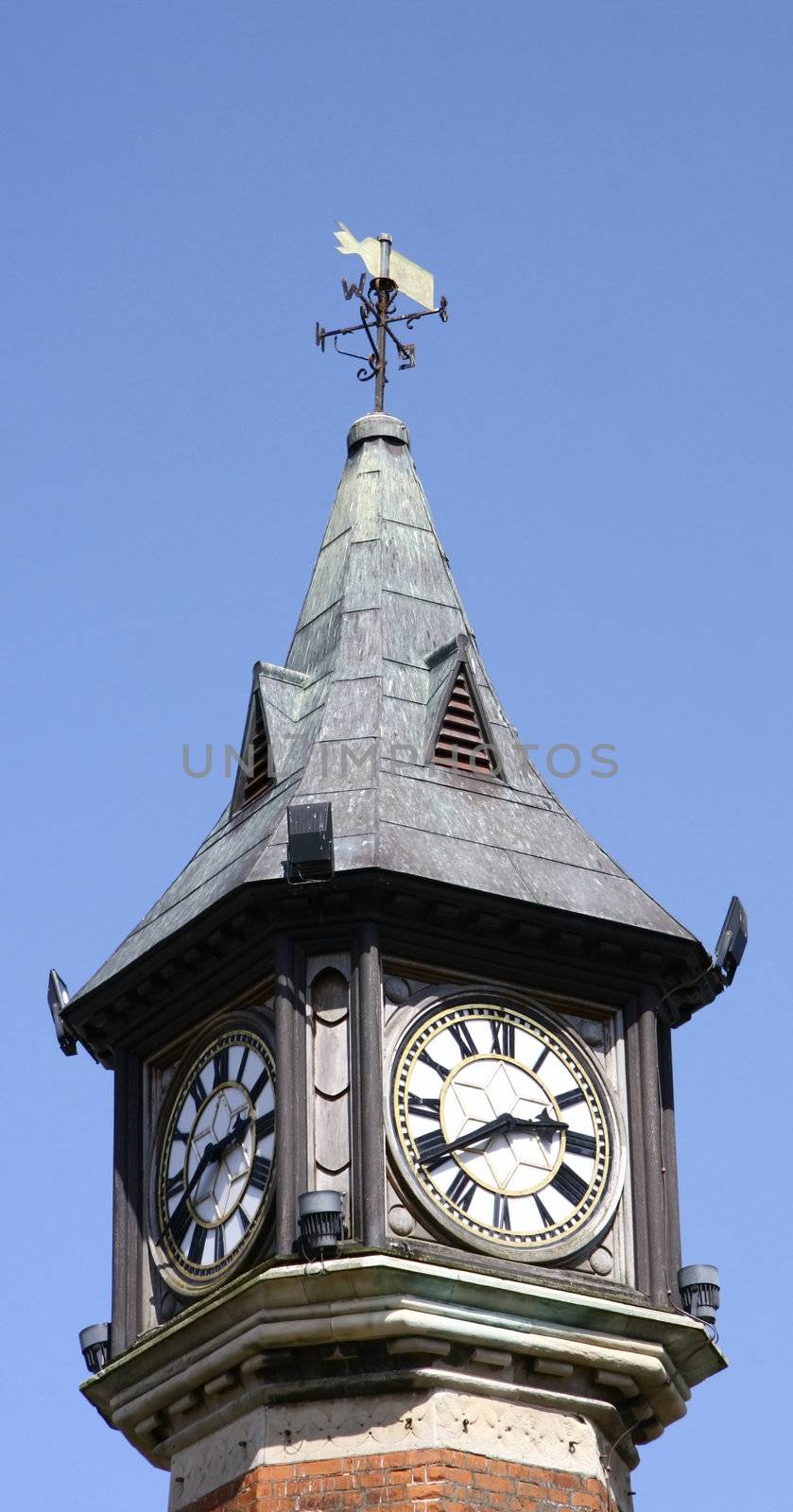 top of a clock tower by leafy