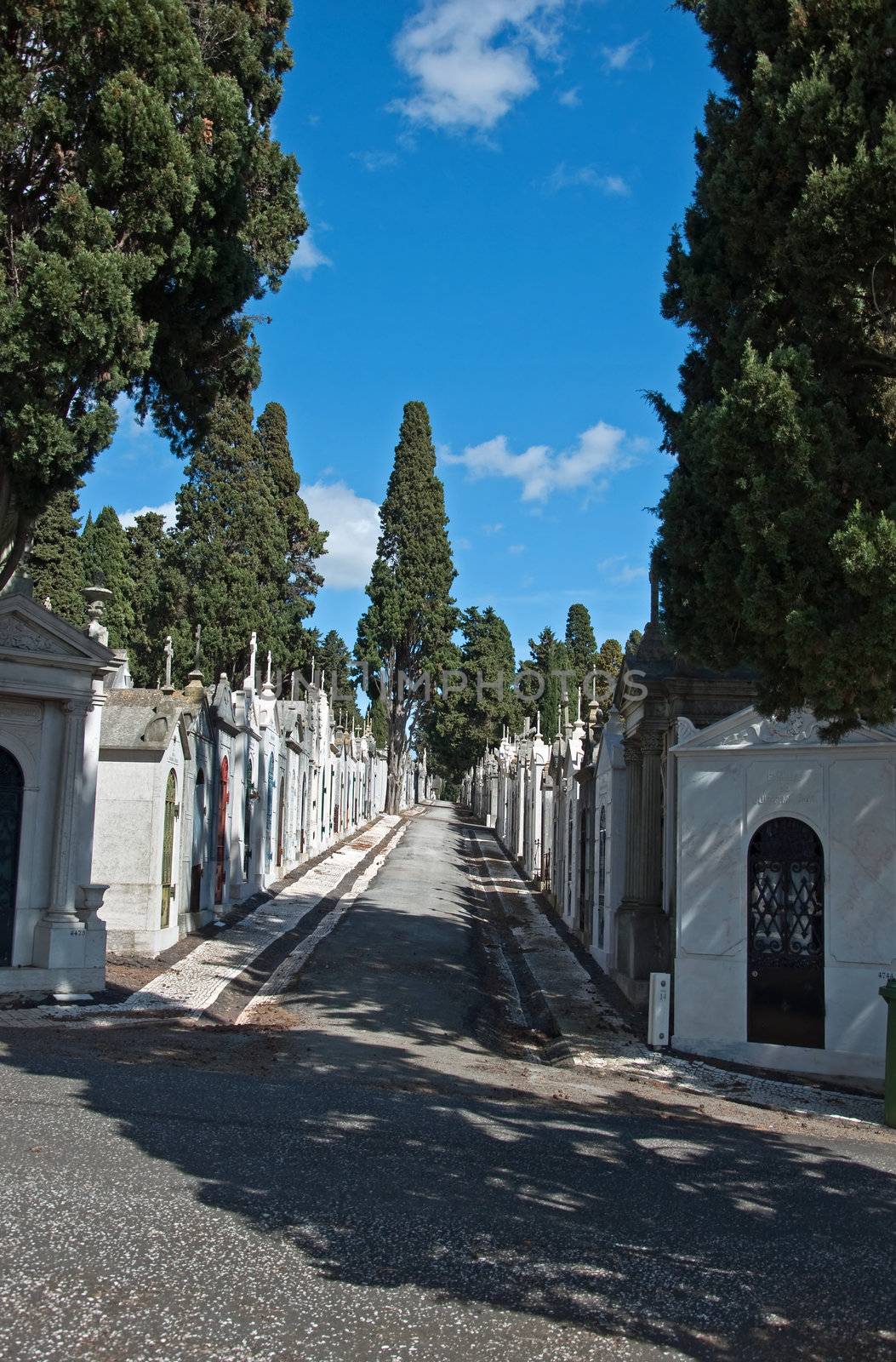 Portugal cemetery road sculpture cross history Lisbon memory