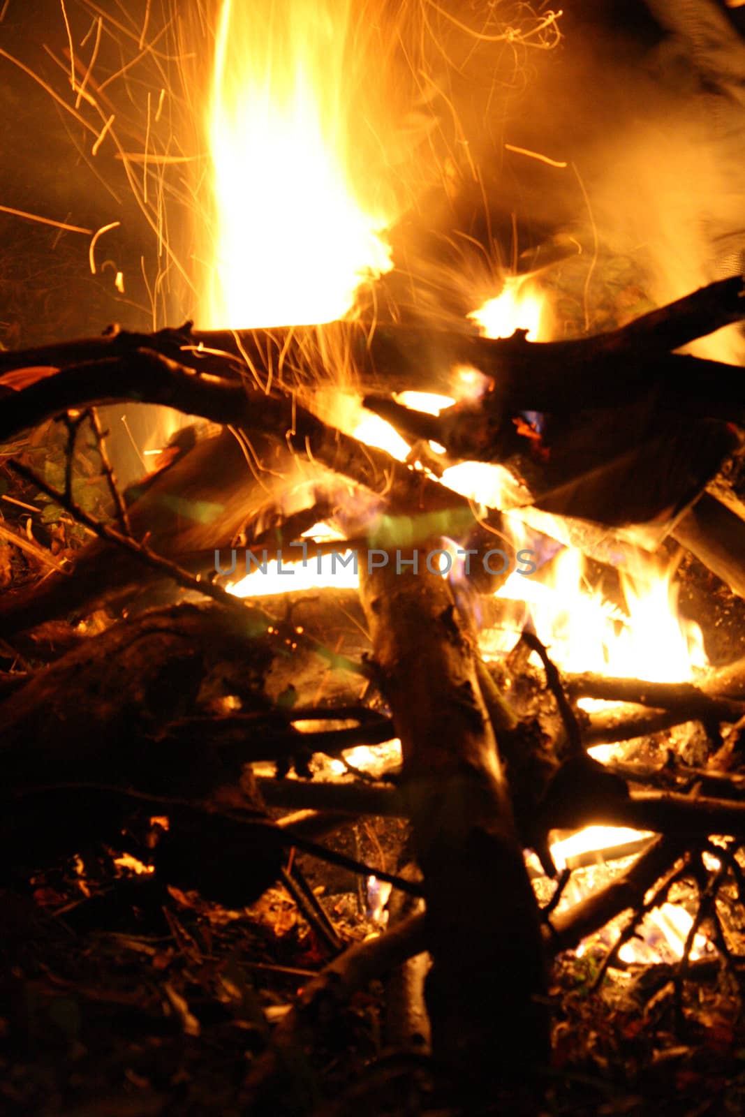 campfire by nimatypografik