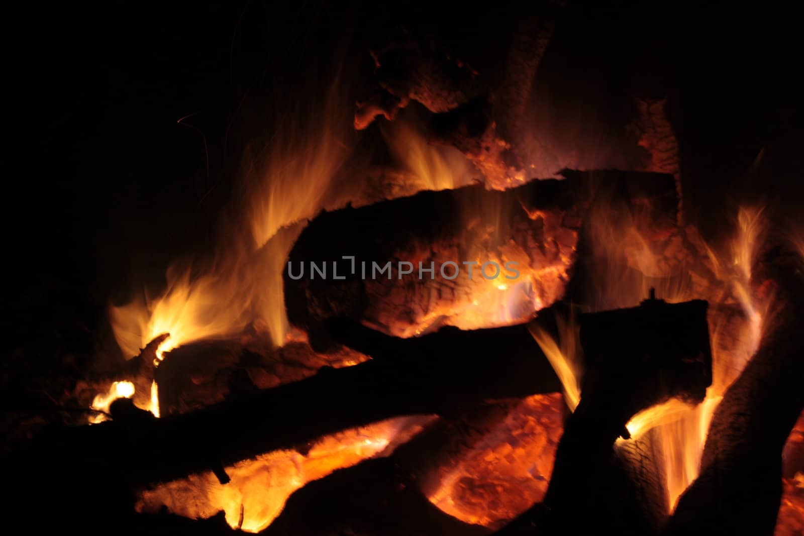 campfire in a forrest at night