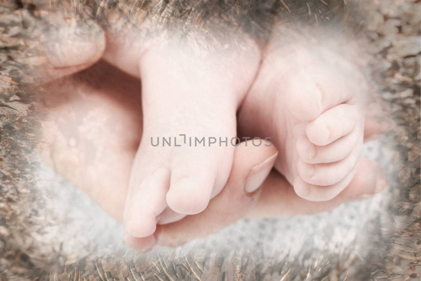 Feet of a baby in his mothers hand