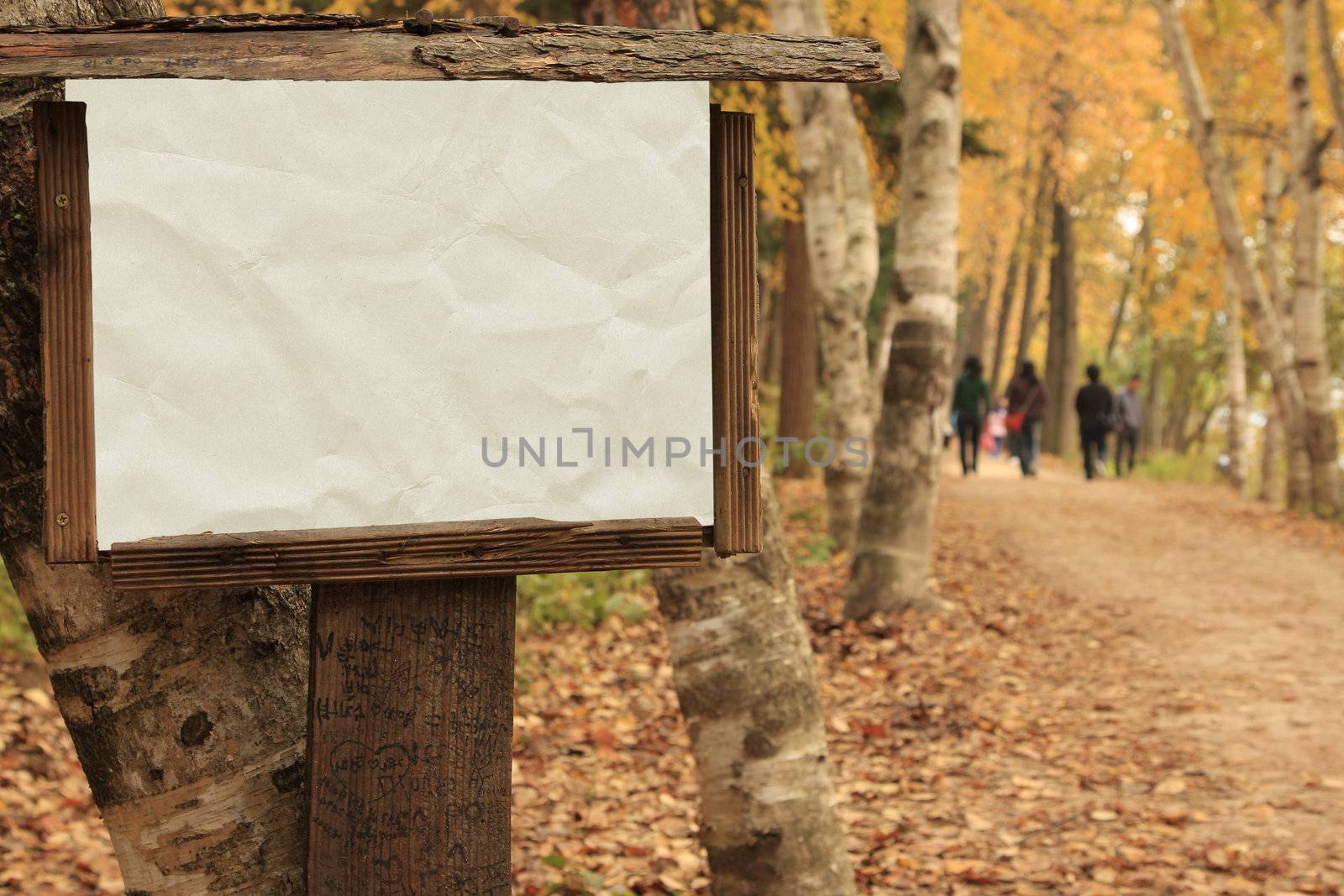 Textured paper in Blank Wooden Frame - autumn in Nami Island Korea