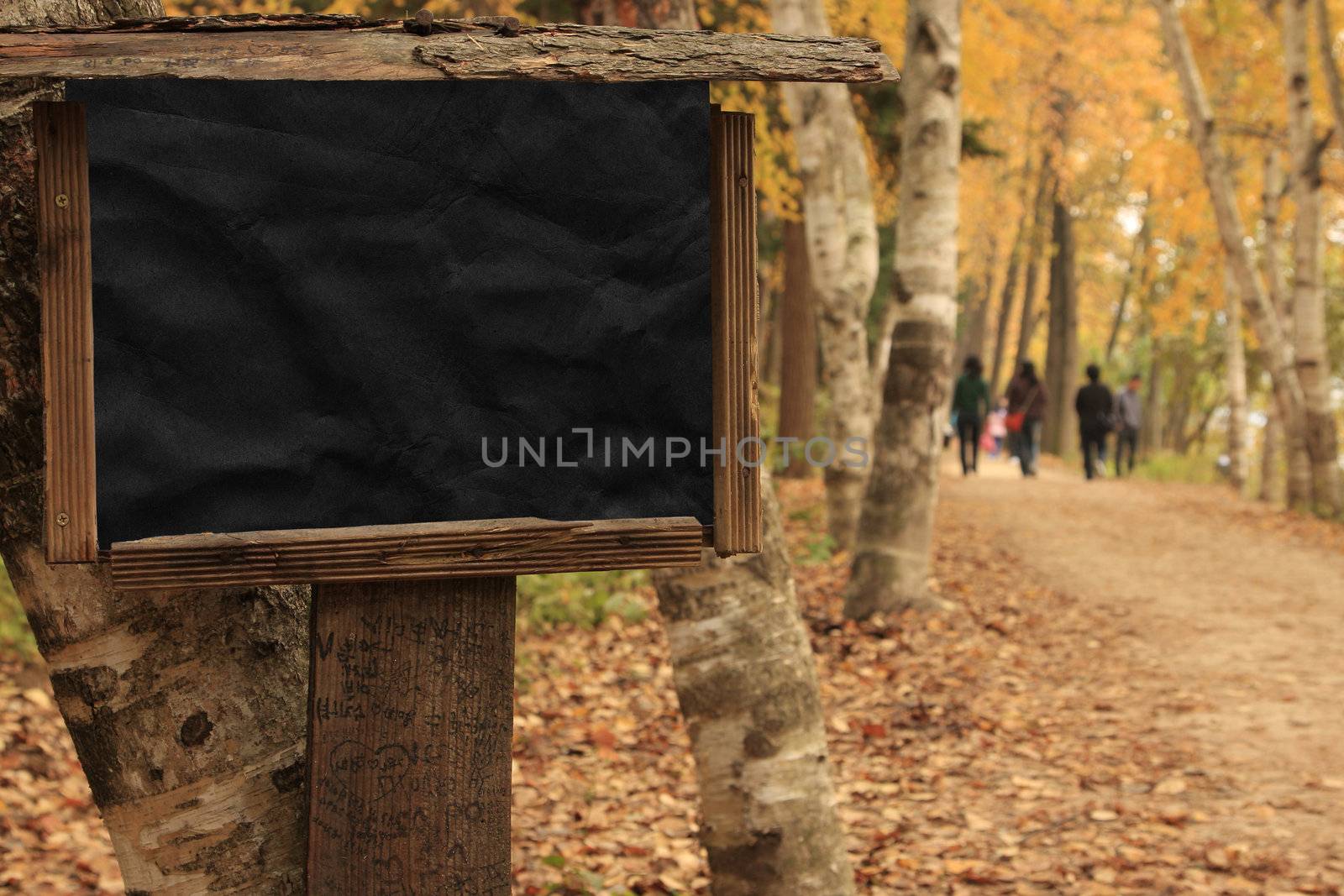 Black poster Wooden Frame during autumn in Nami Island Korea