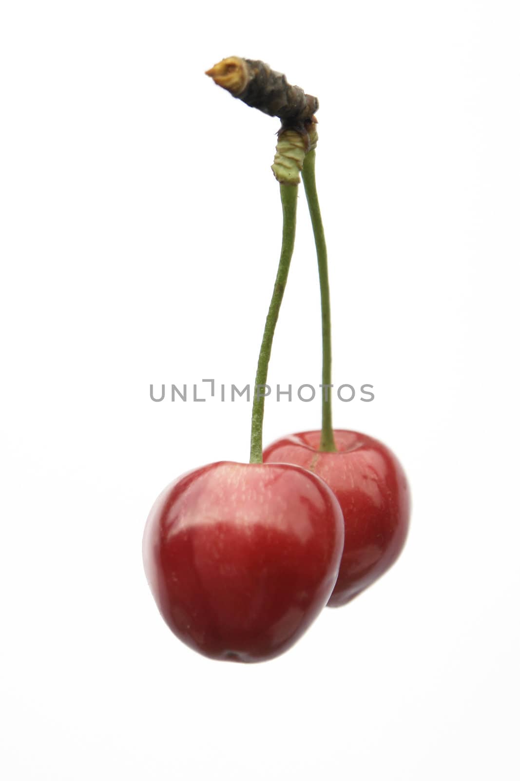 isolated from cherries
