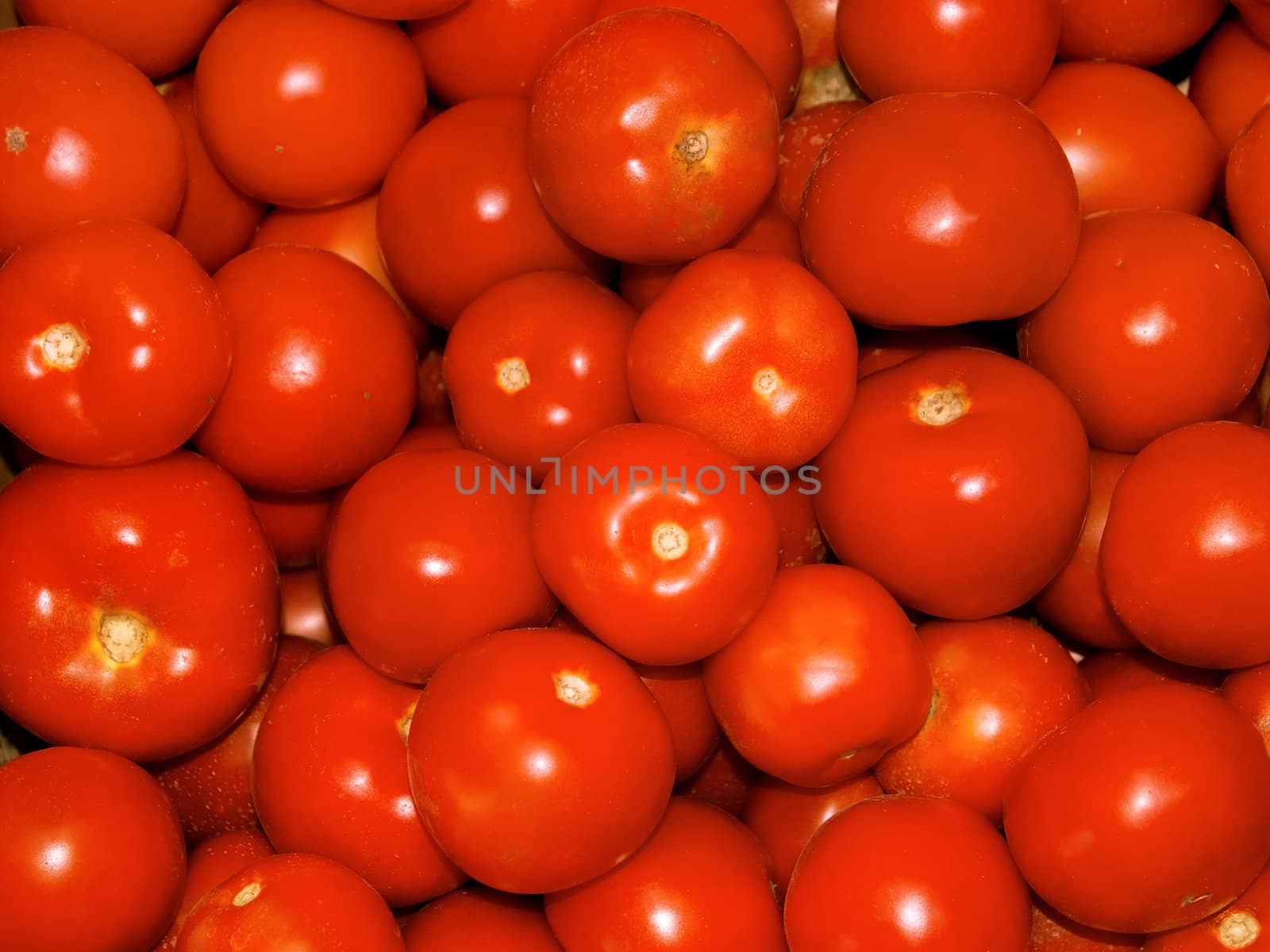 A lot of ripe red tomatoes on the heap as a background