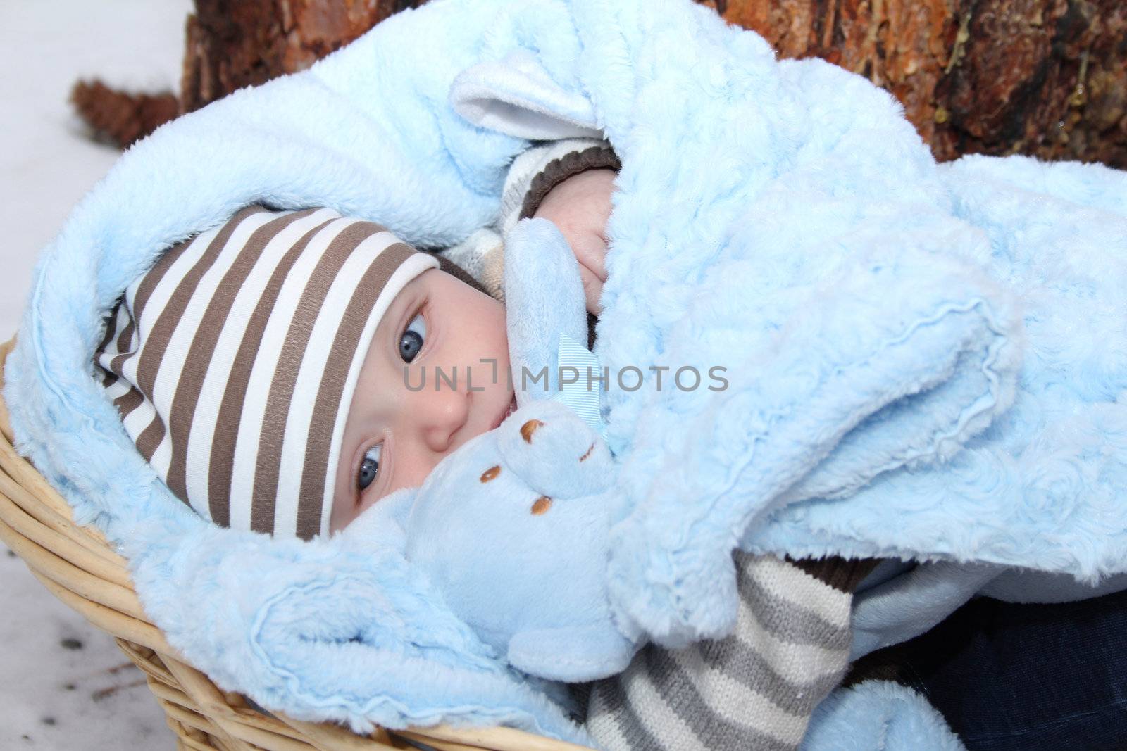Cute baby boy lying outside in a basket