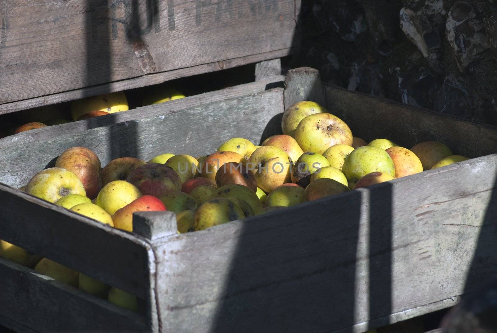 Crates of apples, in bright dappled sunlight with strong shadows, stacked against an old flint stone wall.