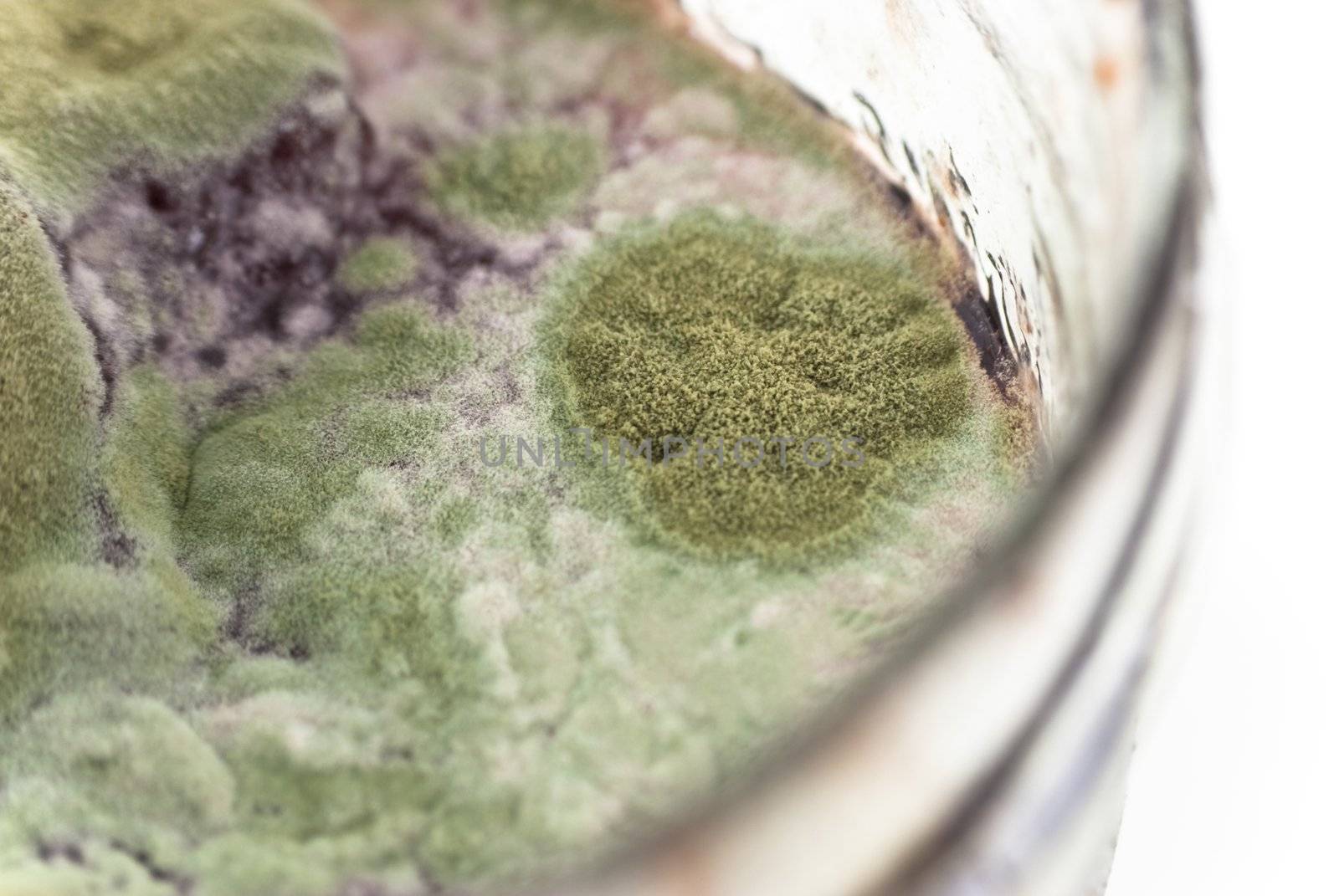 Macro shot of green bacteria growing on jam.  White background.