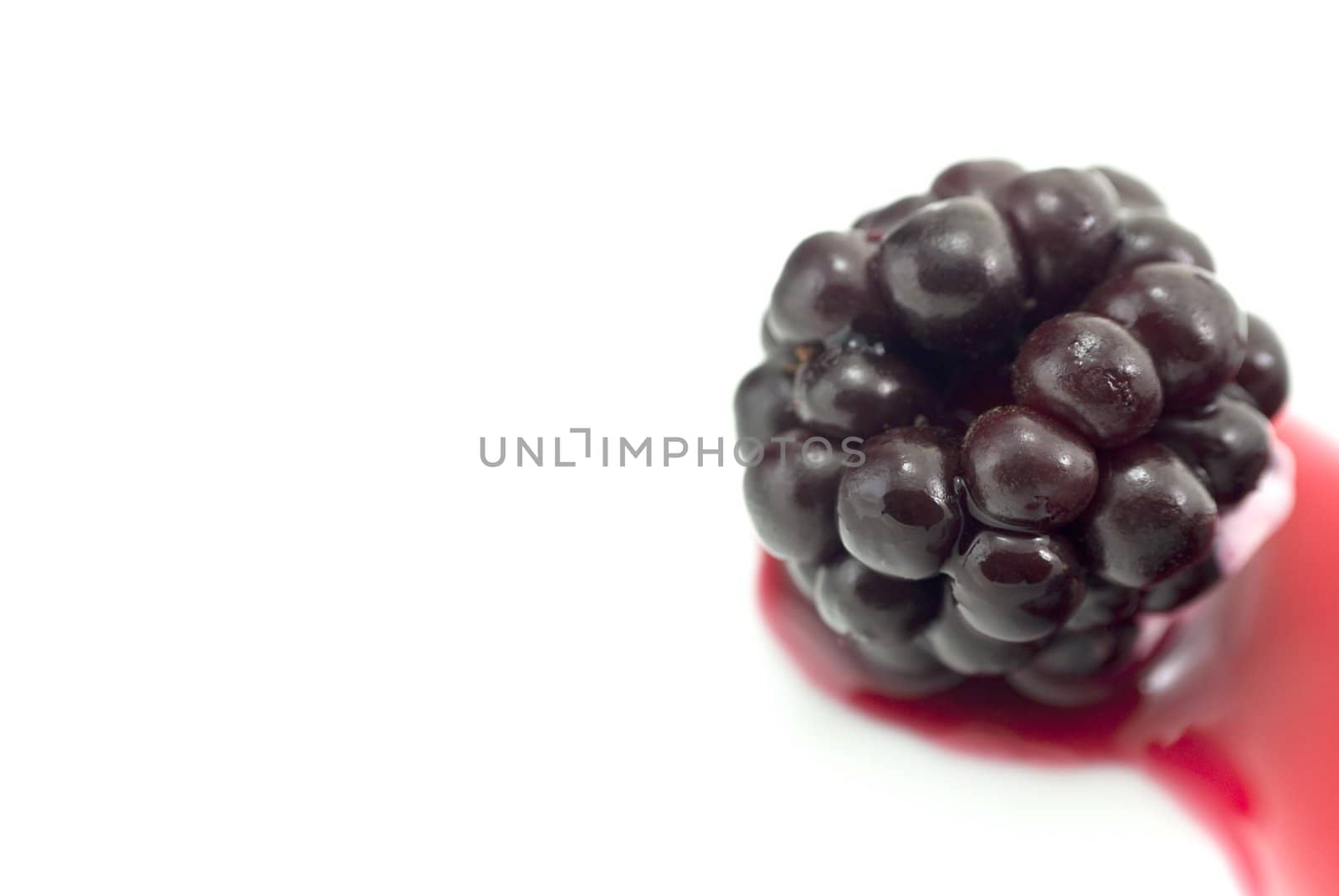 A solitary blackberry on right side of frame with a dab of cream, resting in berry juice which spills out of frame to the lower right.  Isolated on white.  Copy space to the left.