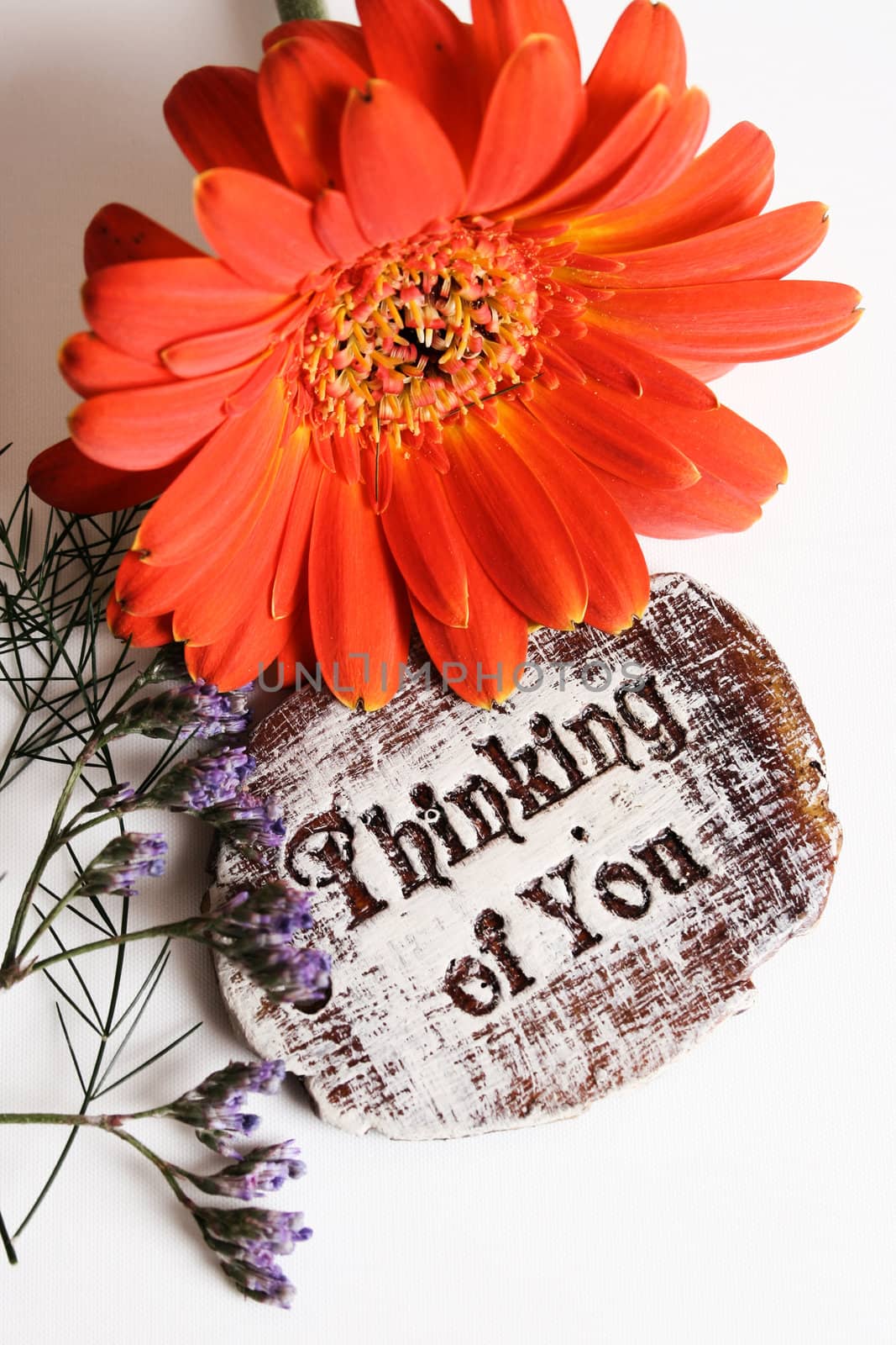 The words Thinking Of You engraved on a small wooden plaque