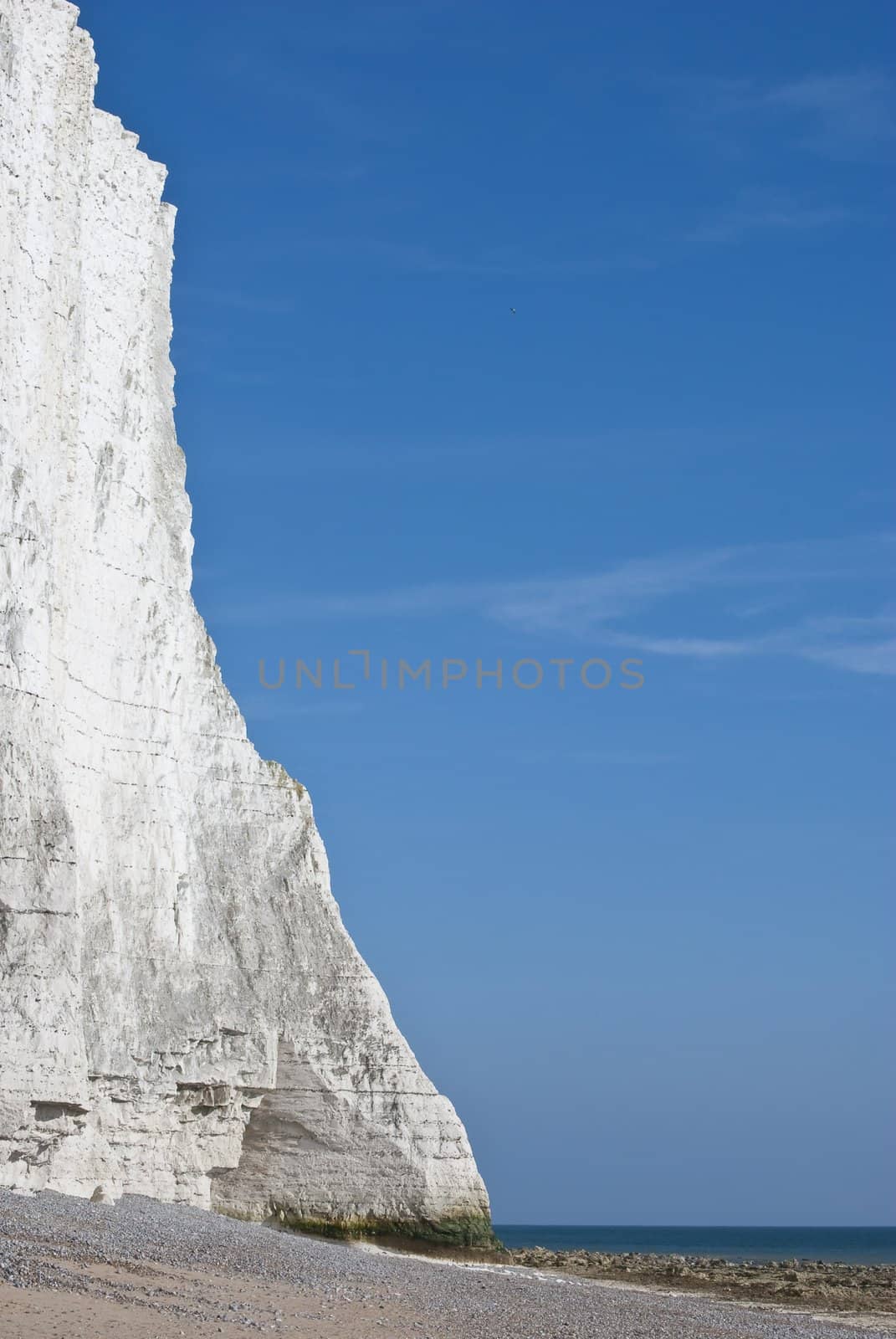 Portrait shot of a white chalk cliff at the sea's edge.  Sand, sea and blue sky visible.   Copy space.