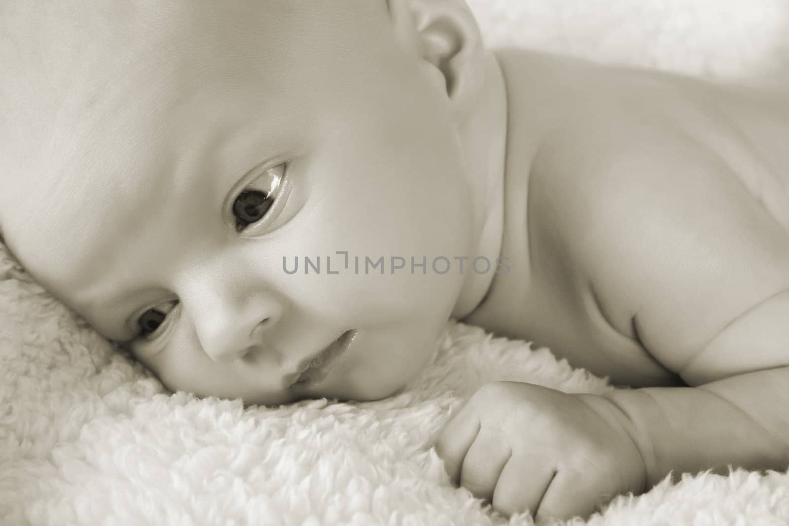 Beautiful newborn baby girl lying on a soft blanket 