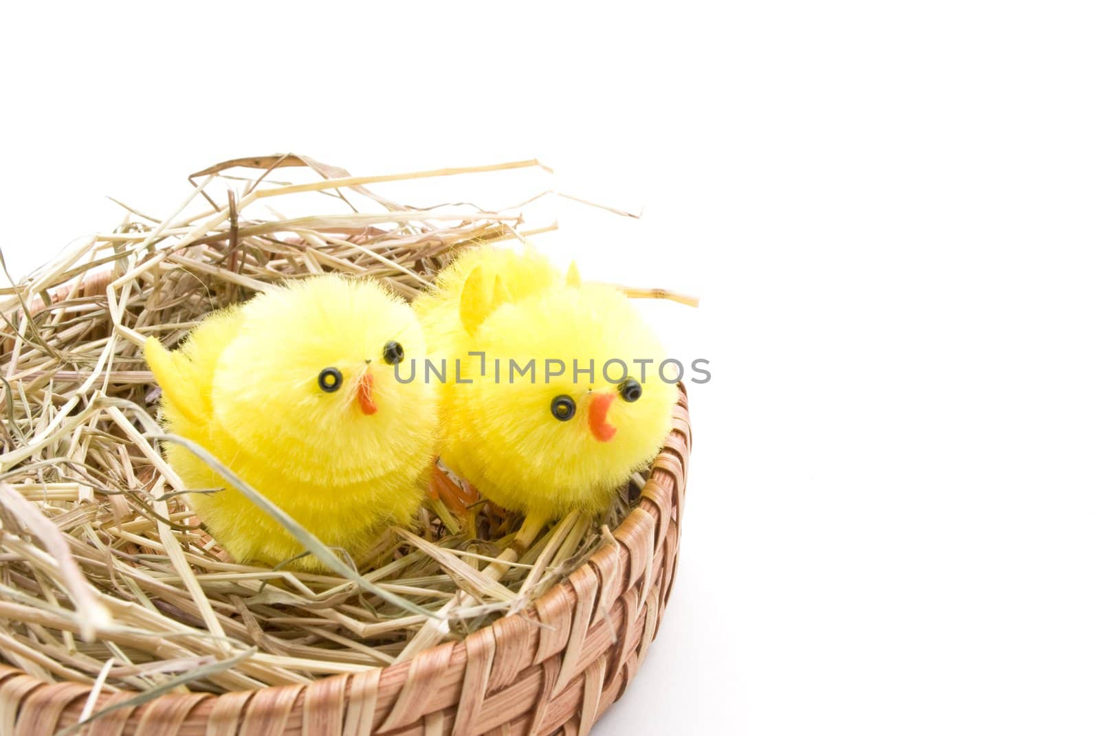 Two Easter chick toys, appearing to chirp, standing on a bed of straw in a basket.  White backgrond.  Lower-left position.  Copy space.
